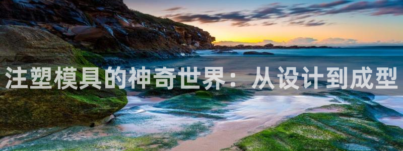2007so太阳集团下载：注塑模具的神奇世界：从设计到成型