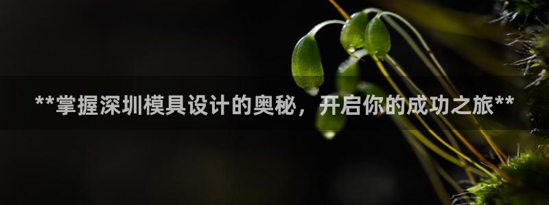 太阳集团是怎样一个公司：**掌握深圳模具设计的奥秘，开启你的成功之旅**