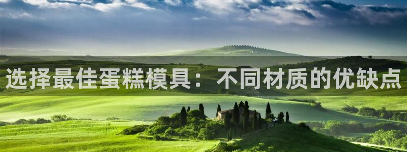 太阳集团城注册就送38welcome：选择最佳蛋糕模具：不同材质的优缺点