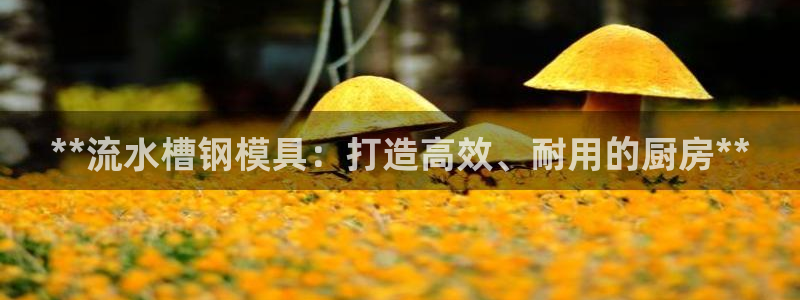 太阳集团董事长是谁呀：**流水槽钢模具：打造高效、耐用的厨房**