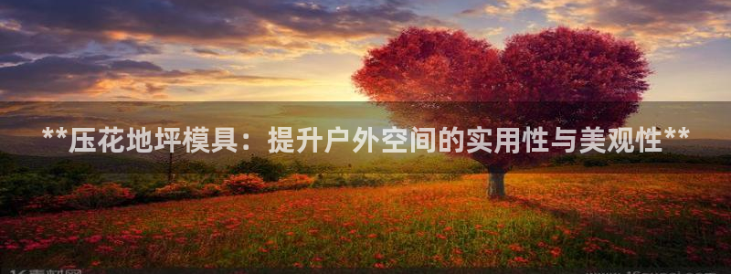 太阳集团的老总是谁
