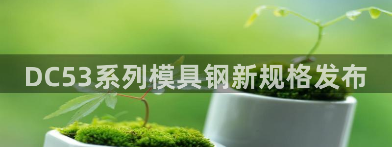 太阳集团电子游戏官方版：DC53系列模具钢新规格发布