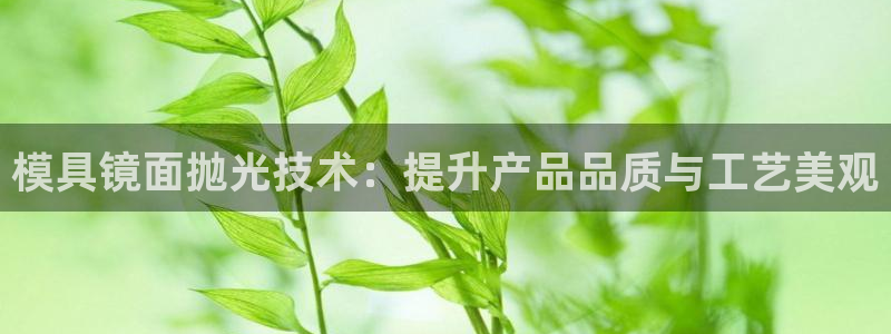太阳成集团控股：模具镜面抛光技术：提升产品品质与工艺美观