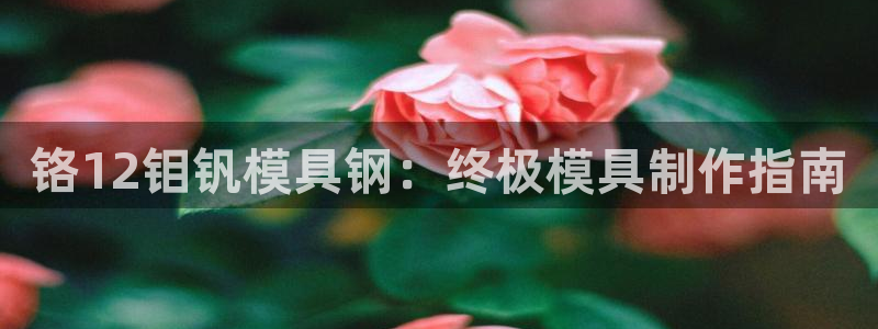 太阳集团注册：铬12钼钒模具钢：终极模具制作指南