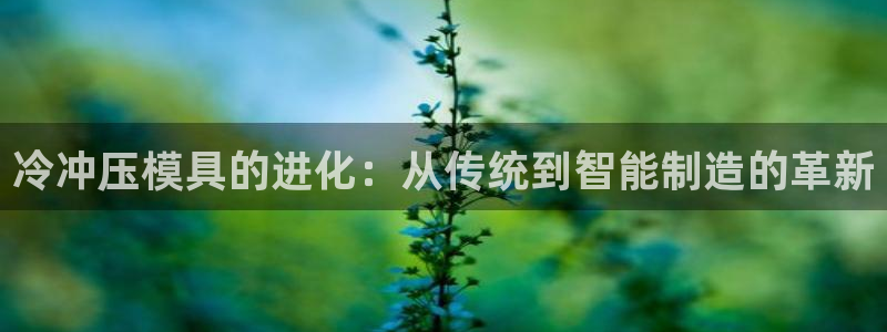 太阳2官方下载：冷冲压模具的进化：从传统到智能制造的革新