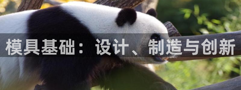 太阳集团网站2018：模具基础：设计、制造与创新