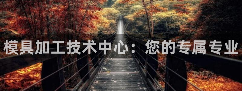 太阳集团游戏软件：模具加工技术中心：您的专属专业