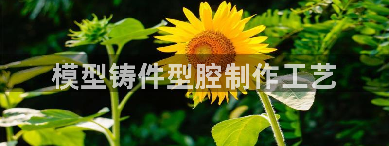 太阳1城集团网址查询：模型铸件型腔制作工艺
