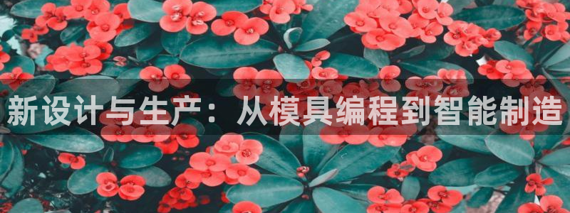 太阳集团董事长的儿子：新设计与生产：从模具编程到智能制造
