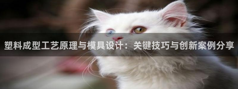 太阳集团是什么公司：塑料成型工艺原理与模具设计：关键技巧与创新案例分享