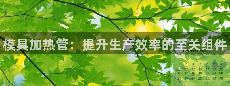 太阳成娱乐集团：模具加热管：提升生产效率的至关组件