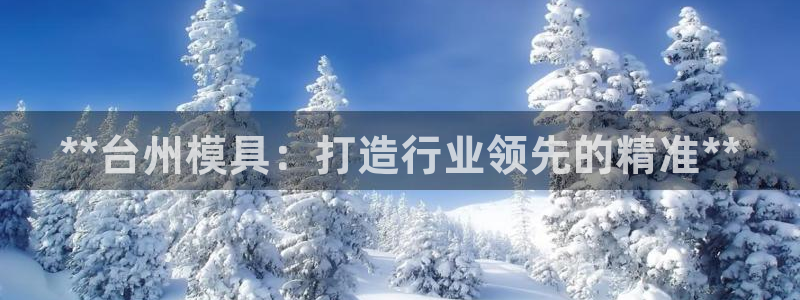 太阳游戏盒子：**台州模具：打造行业领先的精准**