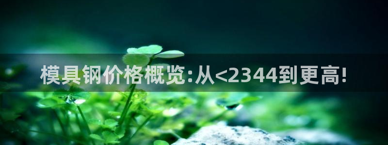 太阳gg登录地址：模具钢价格概览:从<2344到更高!