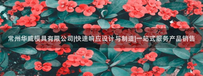 太阳gg会员登录：常州华威模具有限公司|快速响应设计与制造|一站式服务产品销售