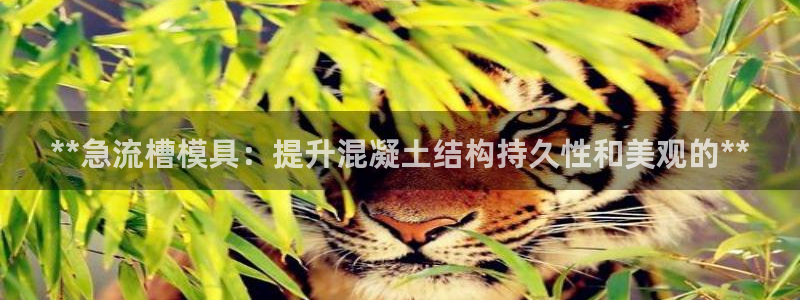 太阳游戏盒子