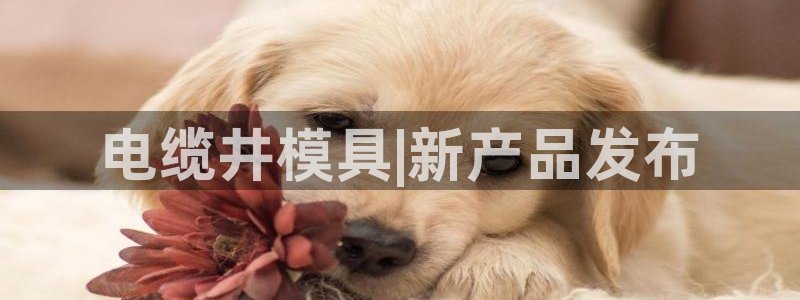 太阳诚集团有限公司是国企吗还是私企：电缆井模具|新产品发布
