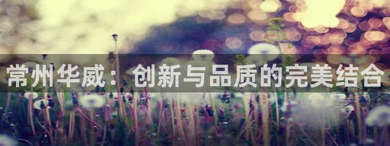 太阳集团网站古天乐代言：常州华威：创新与品质的完美结合