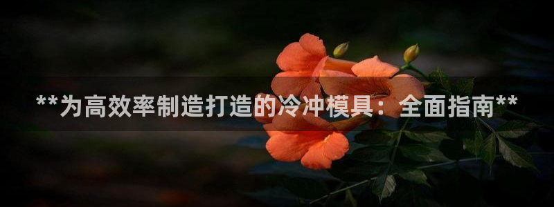 太阳成集团网站6888：**为高效率制造打造的冷冲模具：全面指南**