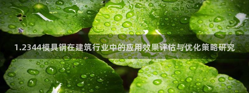 太阳成集团tyc234cc古天乐下载：1.2344模具钢在建筑行业中的应用效果评估与优化策略研究