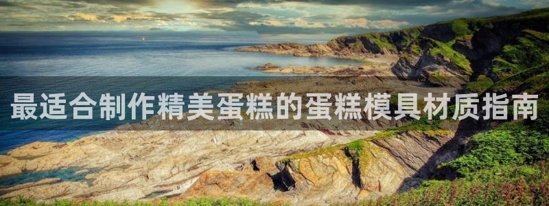 太阳集团城入口：最适合制作精美蛋糕的蛋糕模具材质指南