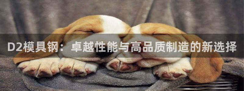 太阳gg平台登陆：D2模具钢：卓越性能与高品质制造的新选择