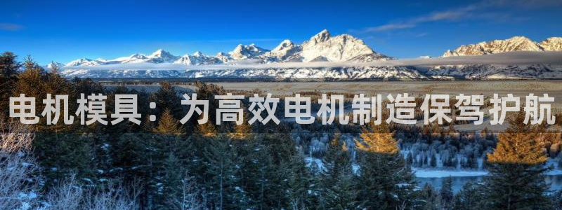 太阳集团电子游戏：电机模具：为高效电机制造保驾护航