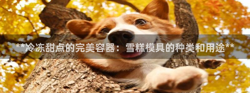 太阳影业投资：**冷冻甜点的完美容器：雪糕模具的种类和用途**