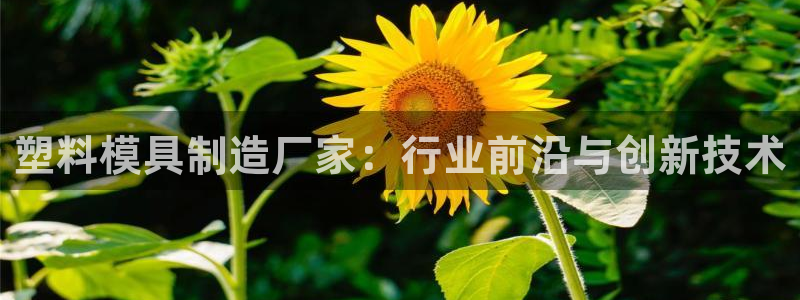 太阳集团电子游戏有限公司：塑料模具制造厂家：行业前沿与创新技术