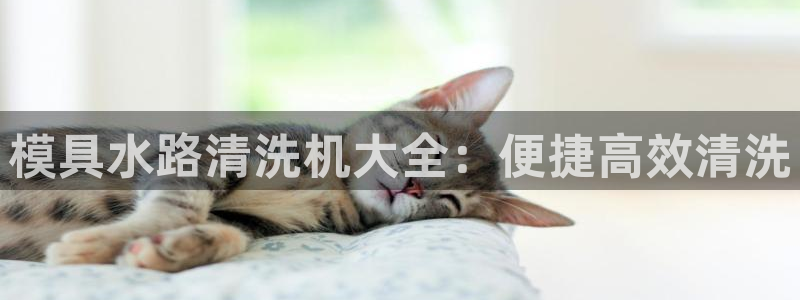 太阳集团古天乐：模具水路清洗机大全：便捷高效清洗