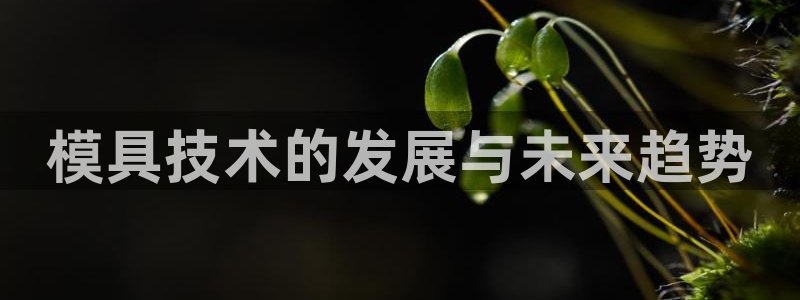太阳集团在线