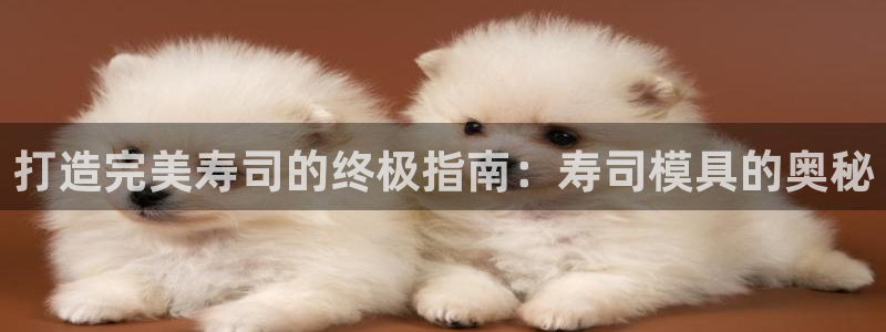 太阳c集团：打造完美寿司的终极指南：寿司模具的奥秘