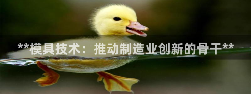 太阳成集团网址 app：**模具技术：推动制造业创新的骨干**