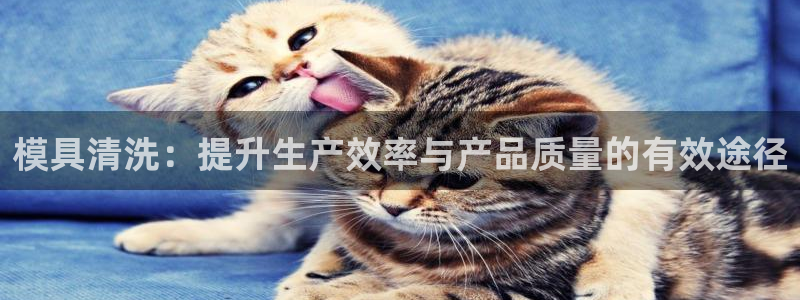 太阳集团电子游戏登录：模具清洗：提升生产效率与产品质量的有效途径