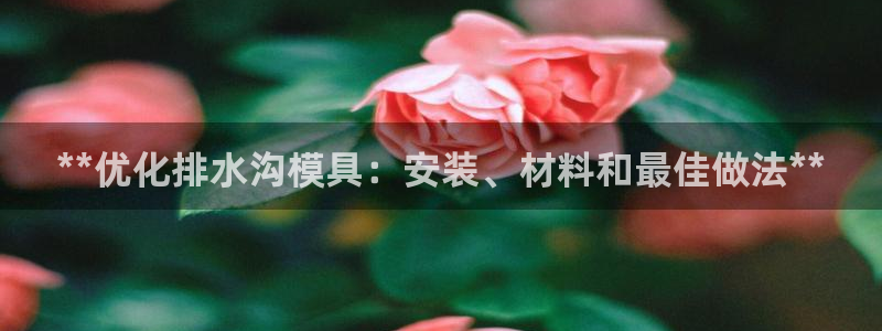 太阳集团2018登录网址查询：**优化排水沟模具：安装、材料和最佳做法**