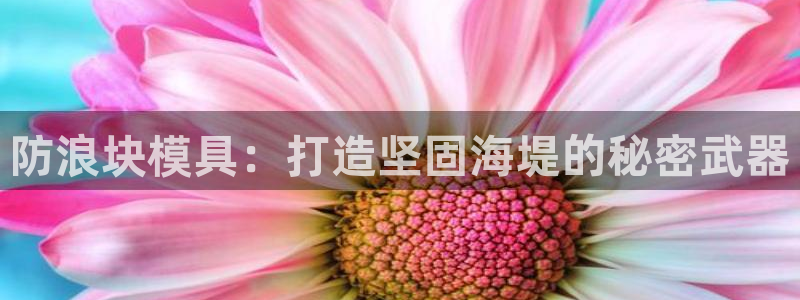 15vip太阳集团：防浪块模具：打造坚固海堤的秘密武器