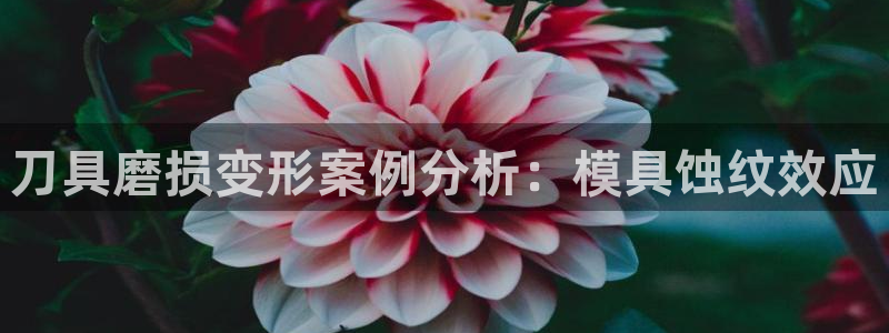 太阳游戏汉化：刀具磨损变形案例分析：模具蚀纹效应
