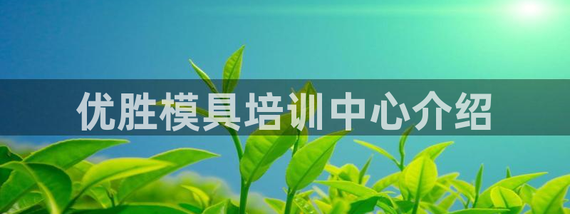 太阳集团主要是做什么的：优胜模具培训中心介绍