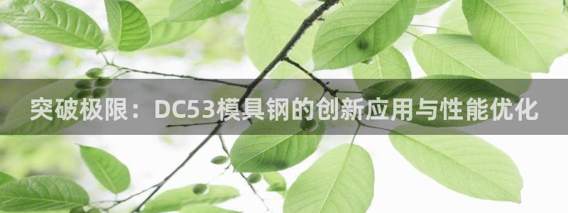 太阳集团娱乐官方网站入口：突破极限：DC53模具钢的创新应用与性能优化