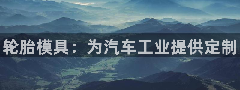太阳集团股份有限公司招聘：轮胎模具：为汽车工业提供定制