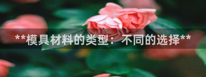 太阳集团游戏官方网址：**模具材料的类型：不同的选择**