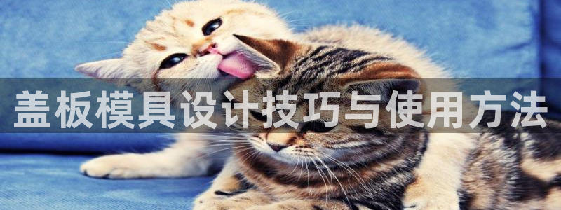 8827太阳集团：盖板模具设计技巧与使用方法
