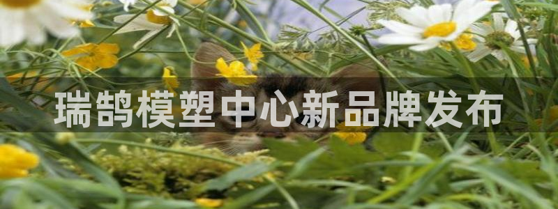 太阳集团游戏城旧版：瑞鹄模塑中心新品牌发布