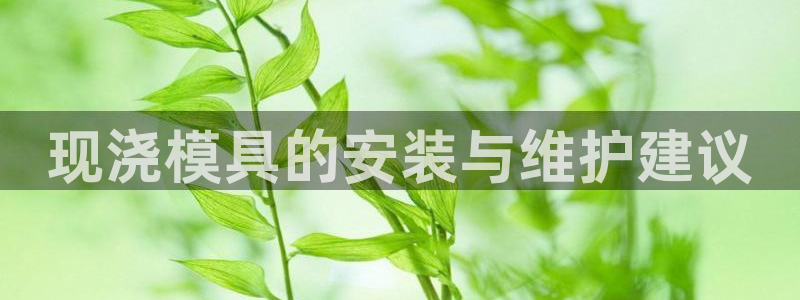太阳集团城：现浇模具的安装与维护建议