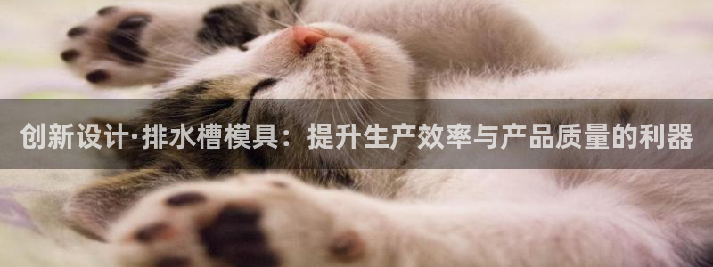 太阳集团城入口：创新设计·排水槽模具：提升生产效率与产品质量的利器