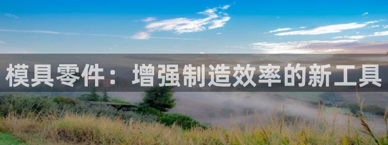 太阳2游戏娱乐官网：模具零件：增强制造效率的新工具