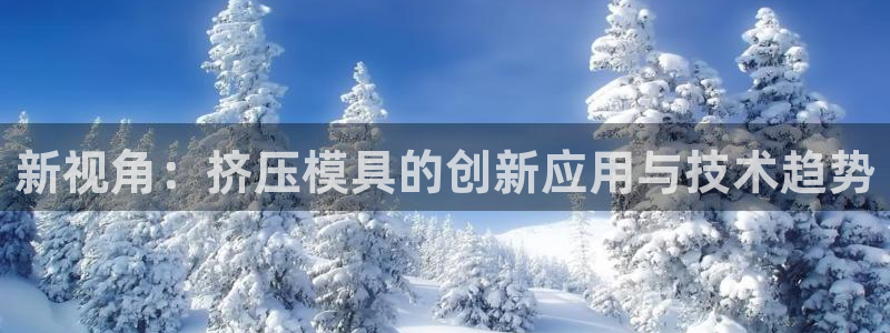 太阳集团官网导航：新视角：挤压模具的创新应用与技术趋势
