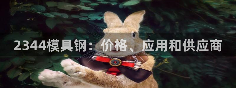 太阳电玩城下载：2344模具钢：价格、应用和供应商