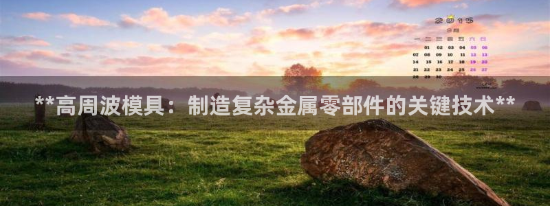 太阳诚集团视频：**高周波模具：制造复杂金属零部件的关键技术**