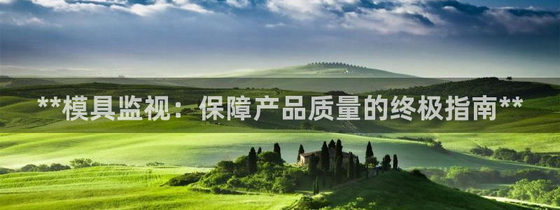 太阳成集团网站005：**模具监视：保障产品质量的终极指南**