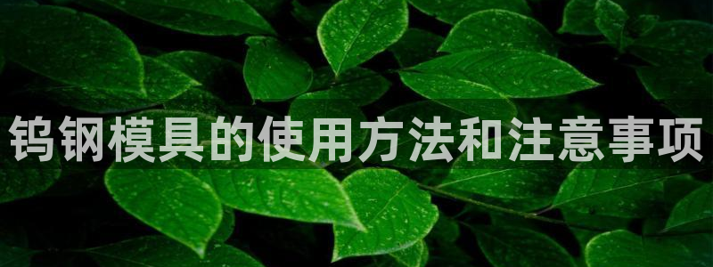 太阳gg注册登录：钨钢模具的使用方法和注意事项